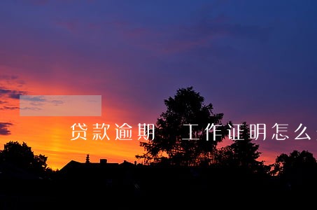 贷款逾期 工作证明怎么开 贷款逾期 工作证明怎么开